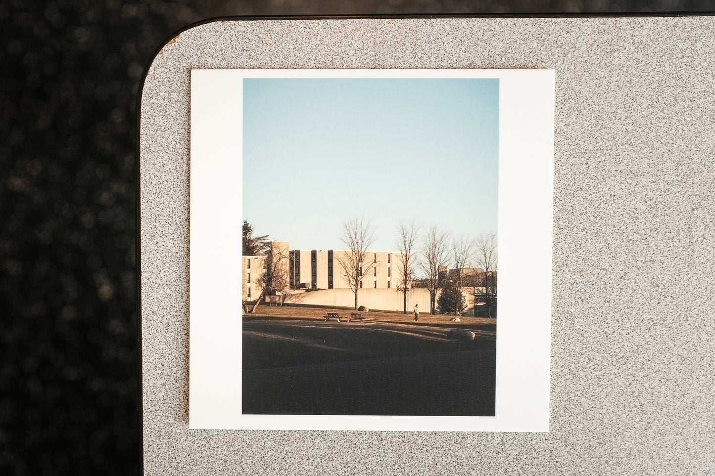 2024 - 11 of 23 - LEC Winter Lawn