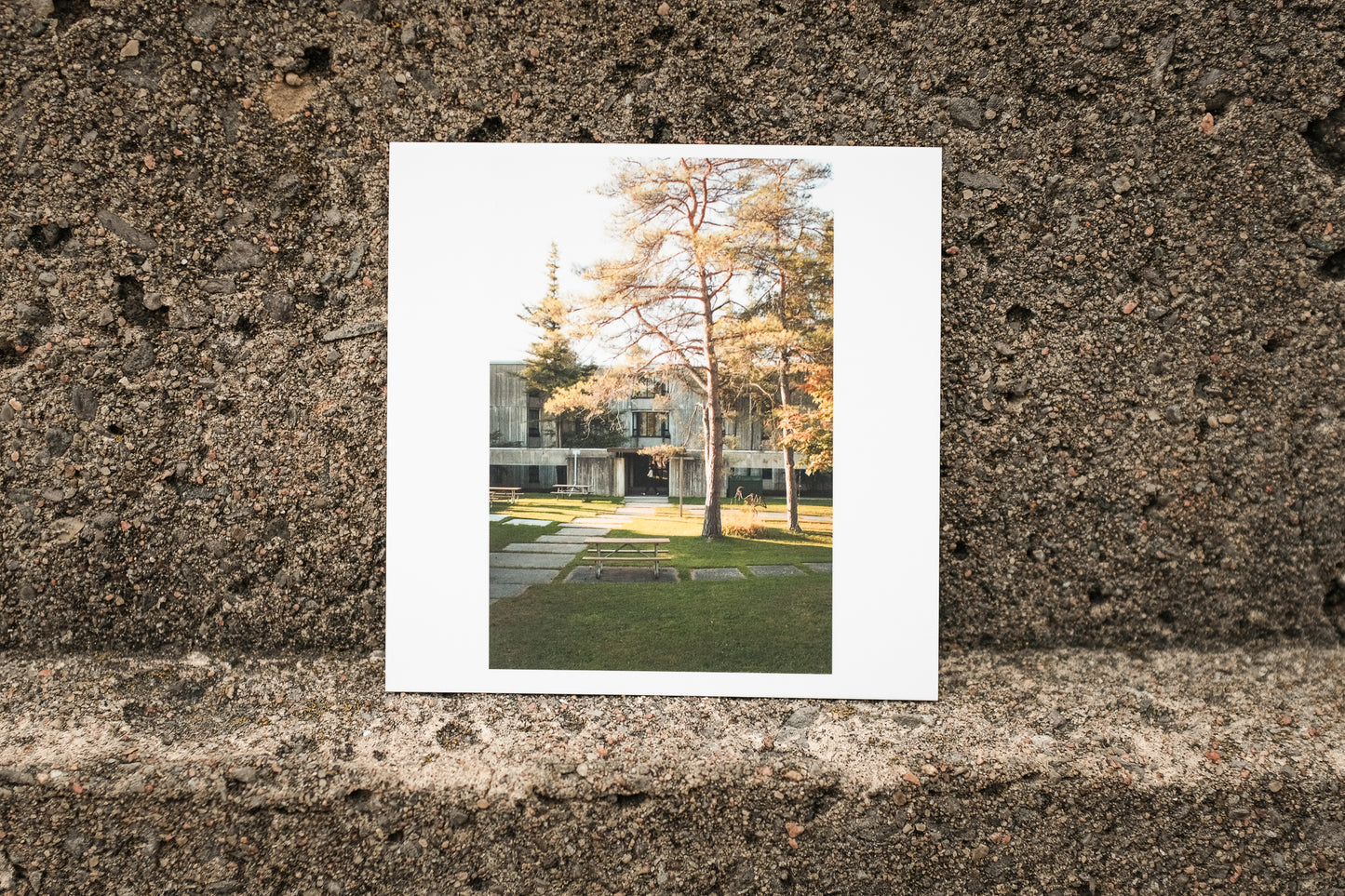 2024 - 14 of 23 - LEC Quad