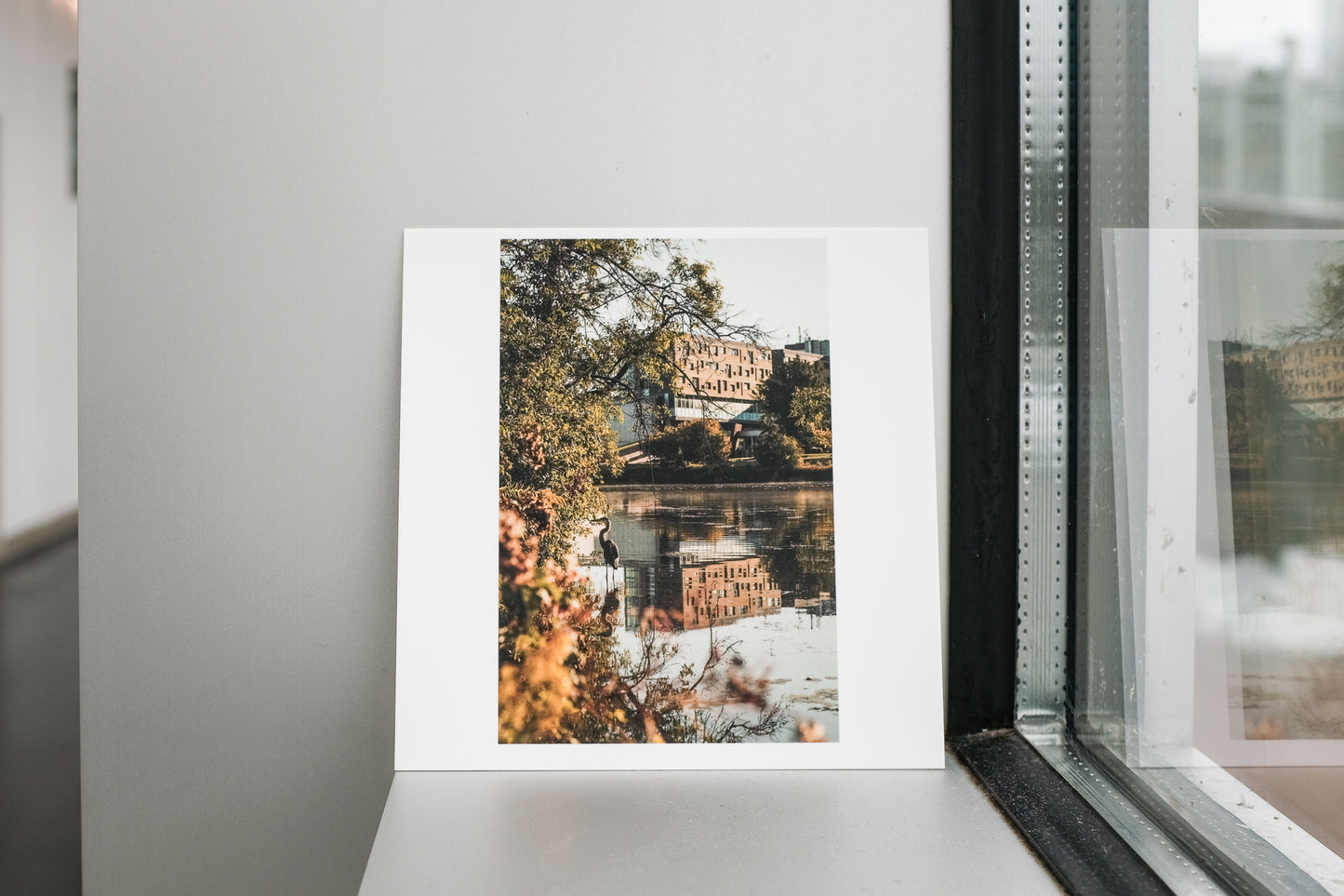 2024 - 05 of 23 - Gzowski Heron