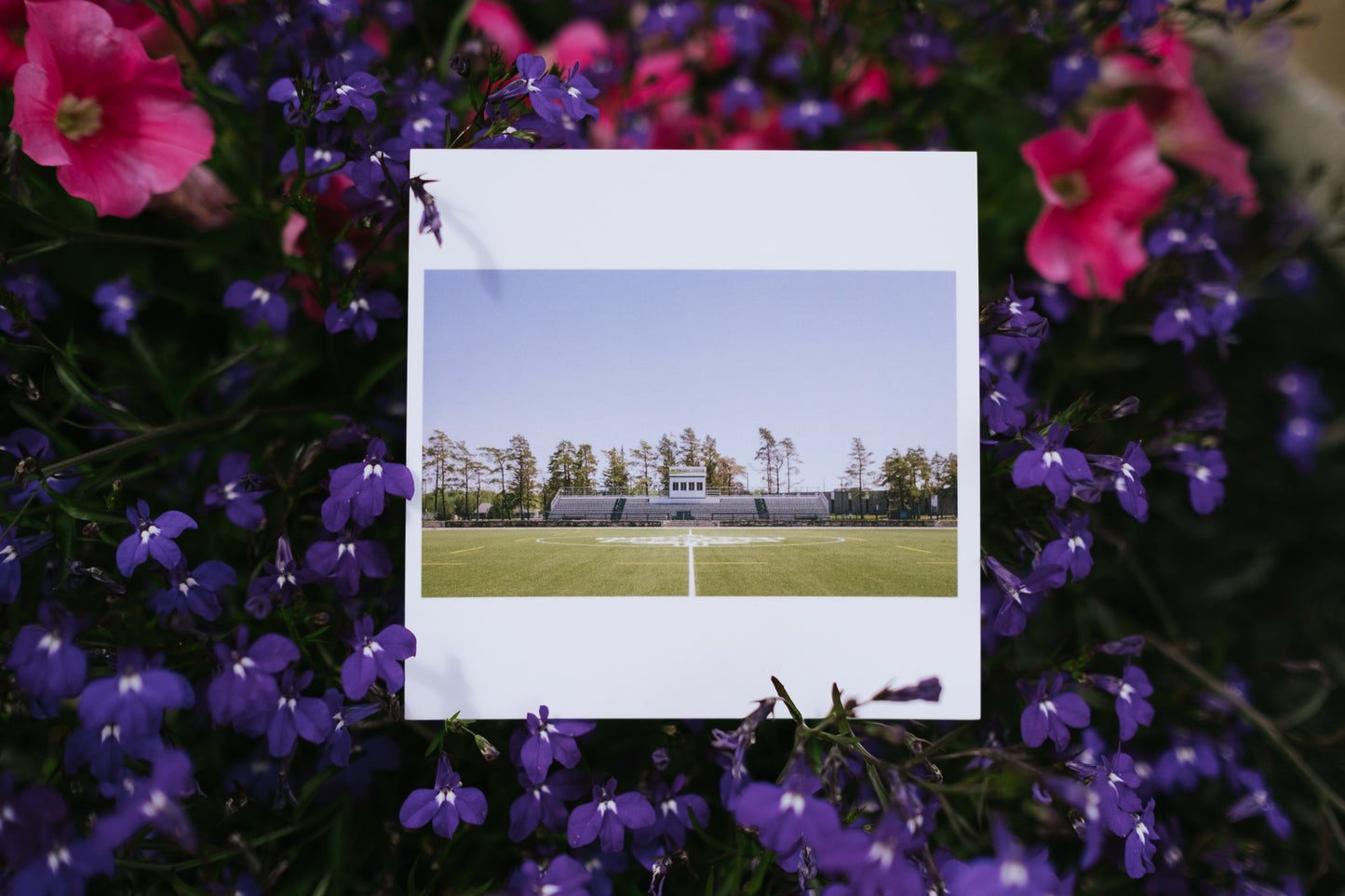 2022 - 11 of 17 - Justin Chiu Stadium