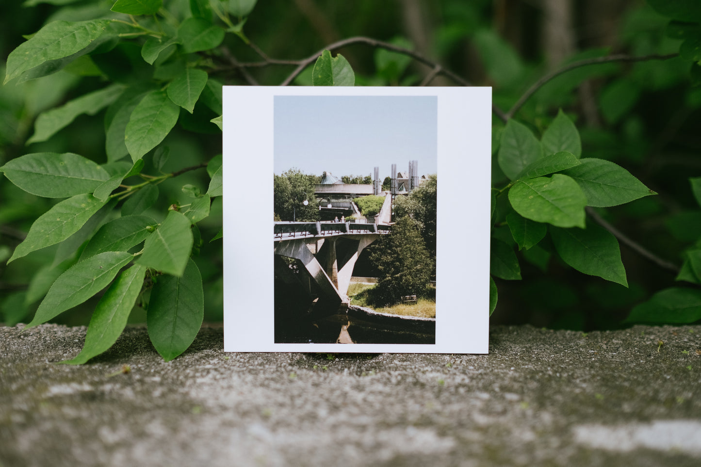 2022 - 12 of 17 - Faryon Bridge Summer