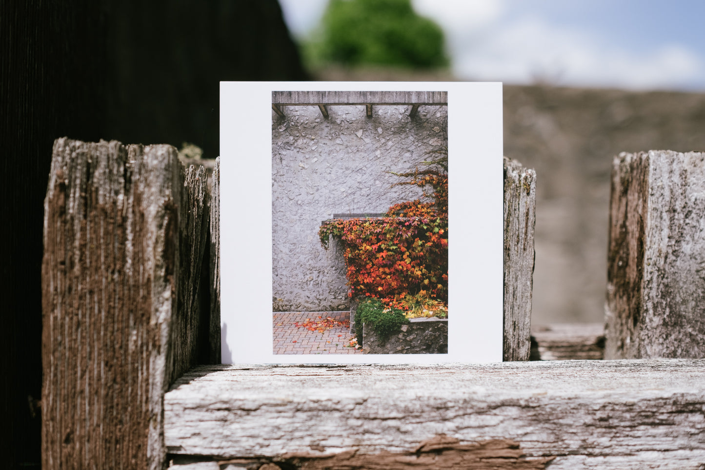 2022 - 03 of 17 - Champlain Fall