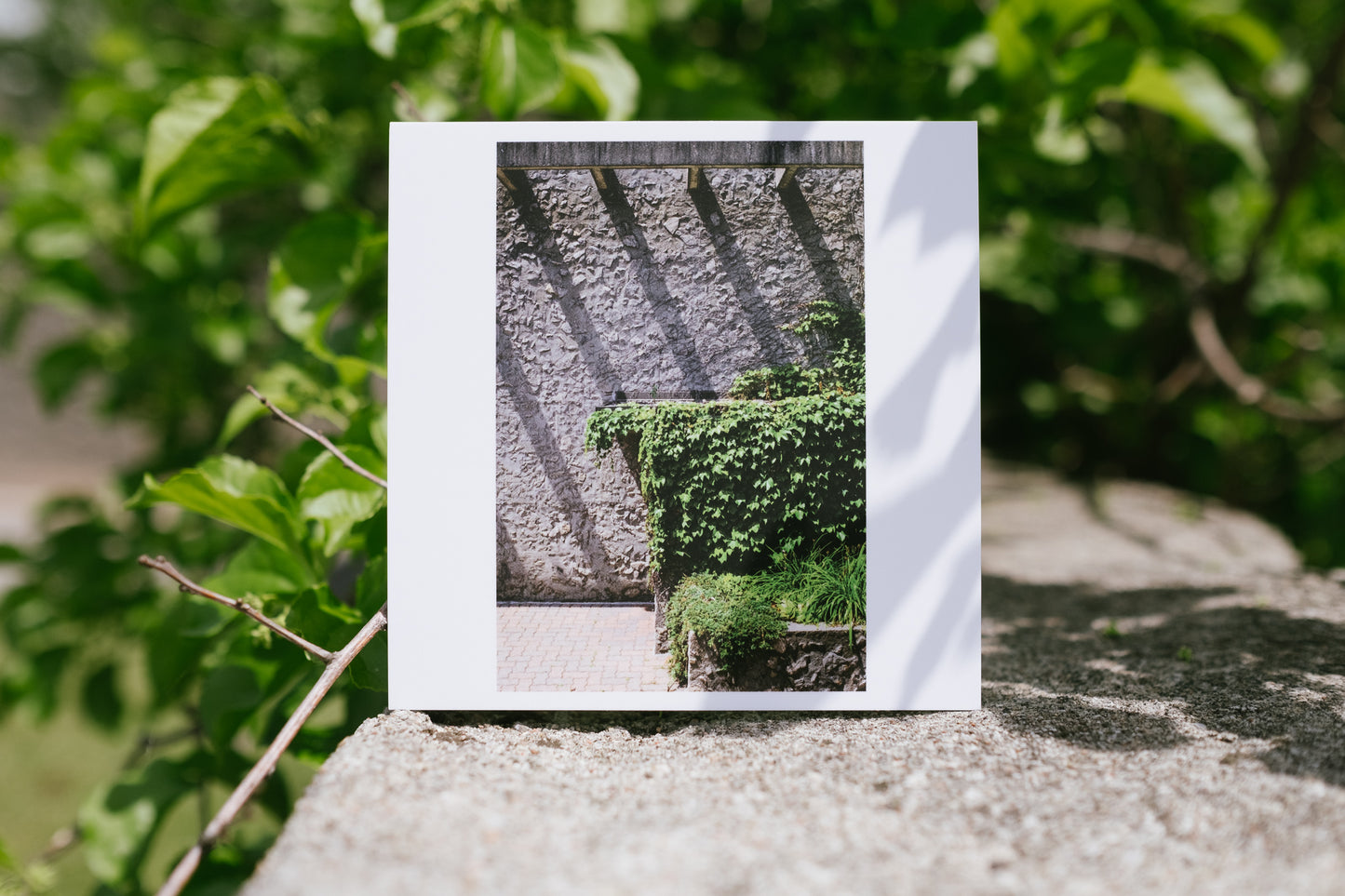 2022 - 04 of 17 - Champlain Summer Stripes