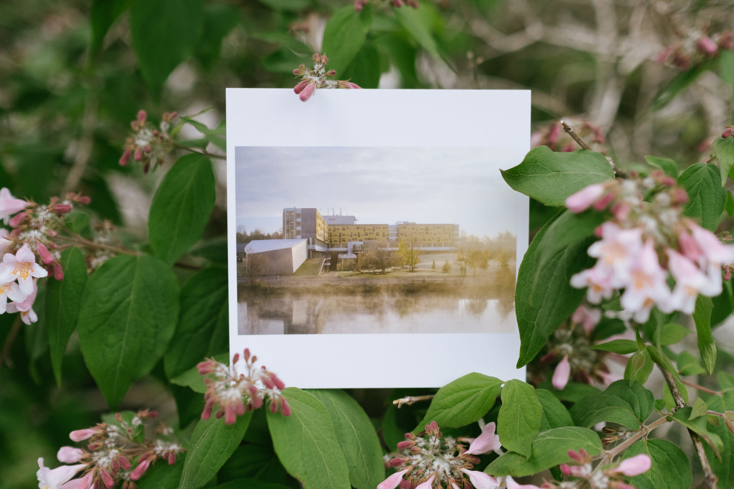 2022 - 17 of 17 - Gzowski Riverside Frost